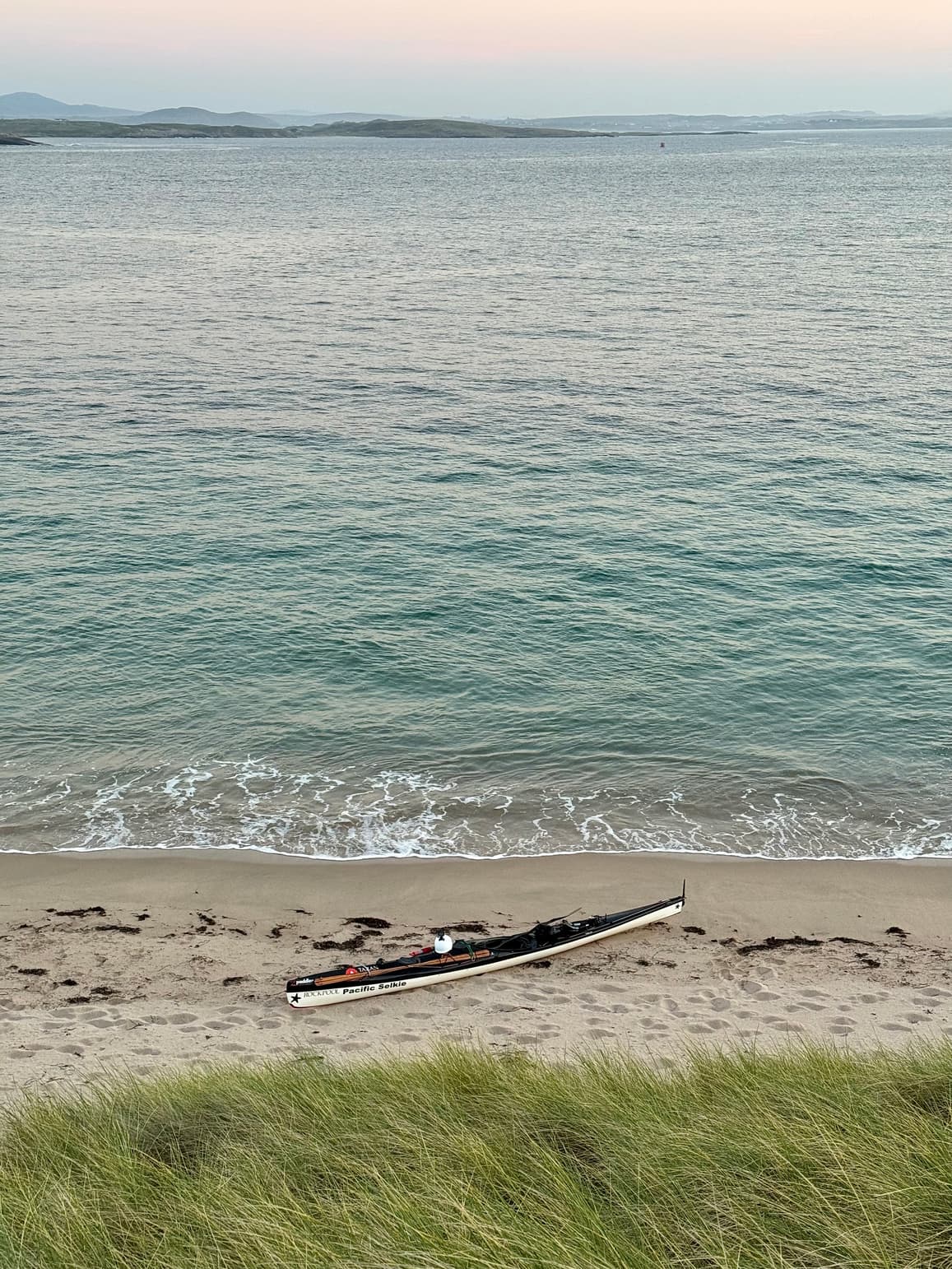 Coastal wildlife spotting in Donegal